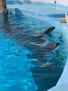 マリンワールド海の中道に投稿された画像（2021/1/3）