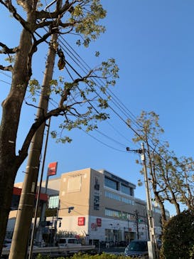 THE SPA 成城に投稿された画像（2021/1/3）