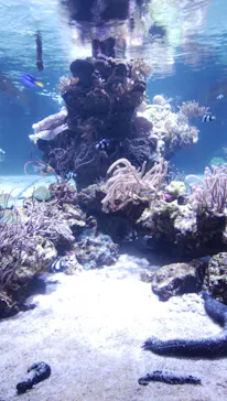 すみだ水族館に投稿された画像（2021/1/3）