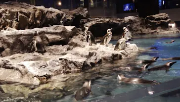 すみだ水族館に投稿された画像（2021/1/3）