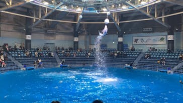 マクセル アクアパーク品川に投稿された画像（2021/1/3）