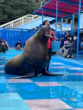 ゼロ距離水族館 伊勢シーパラダイスに投稿された画像（2021/1/3）