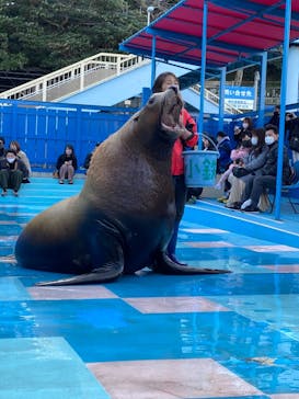 ゼロ距離水族館 伊勢シーパラダイスに投稿された画像（2021/1/3）