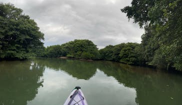 CHOROに投稿された画像（2021/1/3）