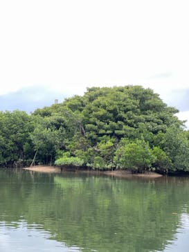 CHOROに投稿された画像（2021/1/3）