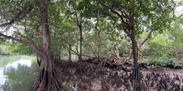 CHOROに投稿された画像（2021/1/3）