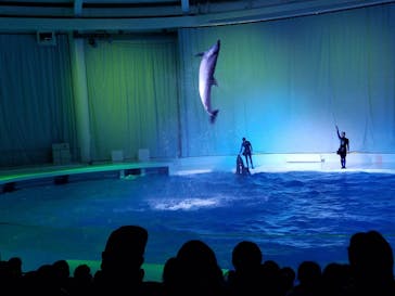 アクアワールド茨城県大洗水族館に投稿された画像（2021/1/3）
