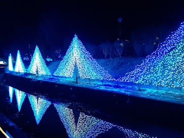KYOTO ILLUMINATION SYNESTHESIA HILLS るり渓温泉に投稿された画像（2021/1/3）