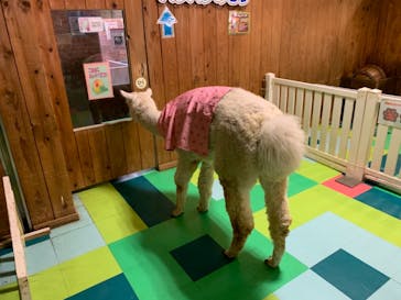 ひらかたパークに投稿された画像（2021/1/3）