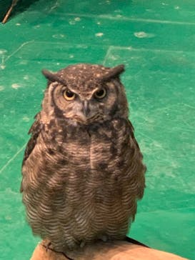 ひらかたパークに投稿された画像（2021/1/3）