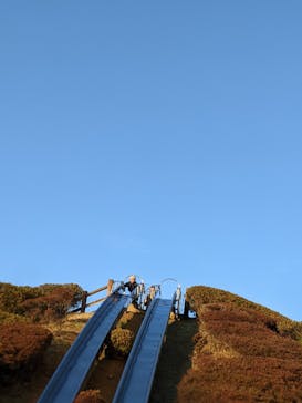 千葉こどもの国 キッズダムに投稿された画像（2021/1/3）