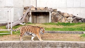 天王寺動物園に投稿された画像（2021/1/3）