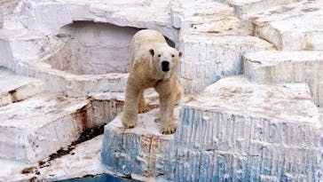 天王寺動物園に投稿された画像（2021/1/3）