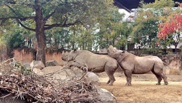 天王寺動物園に投稿された画像（2021/1/3）