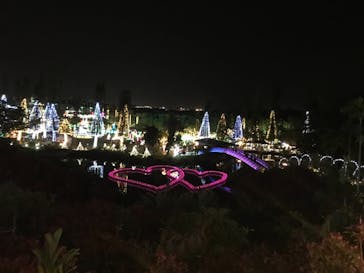 美らヤシパークオキナワ・東南植物楽園に投稿された画像（2021/1/3）