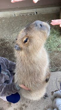 横浜・八景島シーパラダイスに投稿された画像（2021/1/3）