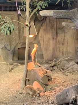 那須どうぶつ王国に投稿された画像（2021/1/3）