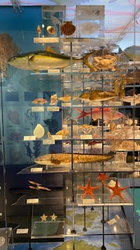 国立科学博物館に投稿された画像（2021/1/3）