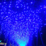 美らヤシパークオキナワ・東南植物楽園に投稿された画像（2021/1/3）