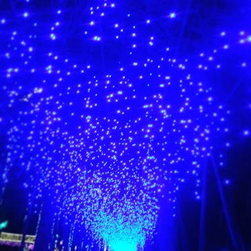 美らヤシパークオキナワ・東南植物楽園に投稿された画像（2021/1/3）