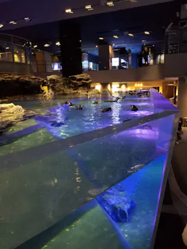 すみだ水族館に投稿された画像（2021/1/3）