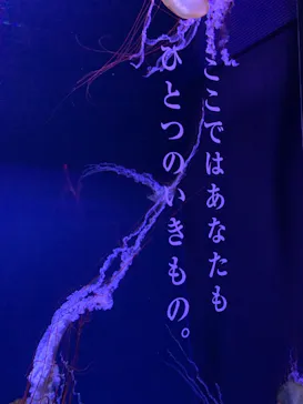 すみだ水族館に投稿された画像（2021/1/3）