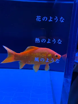 すみだ水族館に投稿された画像（2021/1/3）