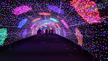 よみうりランド 遊園地に投稿された画像（2021/1/3）