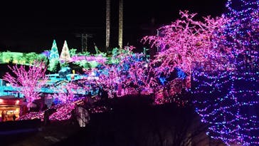 よみうりランド 遊園地に投稿された画像（2021/1/3）