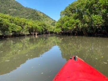 マングローブ茶屋に投稿された画像（2021/1/3）