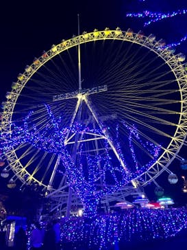 よみうりランド 遊園地に投稿された画像（2021/1/3）