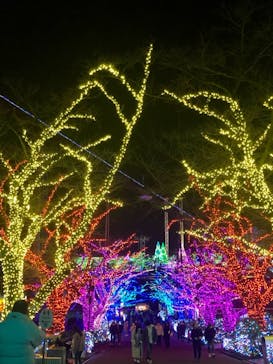 よみうりランド 遊園地に投稿された画像（2021/1/3）