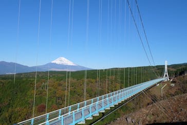 伊豆パノラマパークに投稿された画像（2021/1/3）