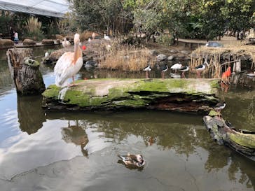 神戸どうぶつ王国に投稿された画像（2021/1/3）