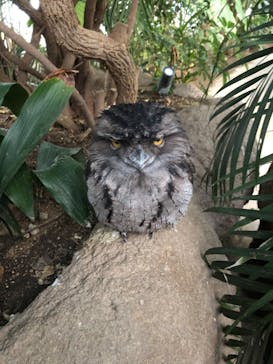 神戸どうぶつ王国に投稿された画像（2021/1/3）