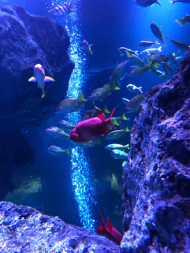 すみだ水族館に投稿された画像（2021/1/3）