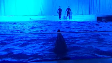 アクアワールド茨城県大洗水族館に投稿された画像（2021/1/3）