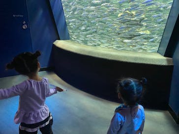 サンシャイン水族館に投稿された画像（2021/1/3）