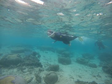 武藤潜水に投稿された画像（2021/1/4）