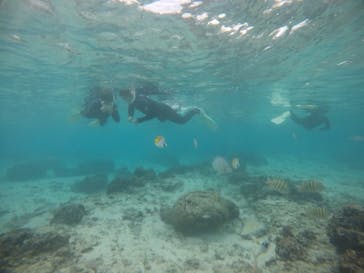 武藤潜水に投稿された画像（2021/1/4）