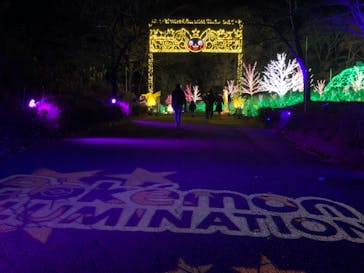 さがみ湖MORI MORIに投稿された画像（2021/1/4）