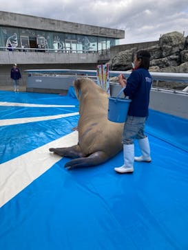 大分マリーンパレス水族館 「うみたまご」に投稿された画像（2021/1/4）