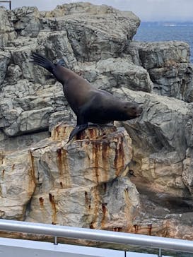 大分マリーンパレス水族館 「うみたまご」に投稿された画像（2021/1/4）
