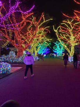 よみうりランド 遊園地に投稿された画像（2021/1/4）