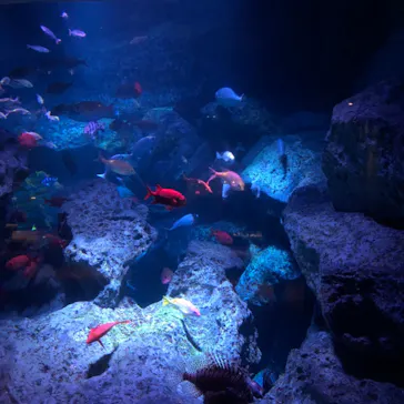 すみだ水族館に投稿された画像（2021/1/4）