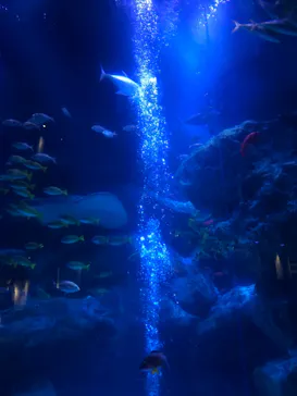 すみだ水族館に投稿された画像（2021/1/4）