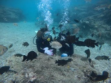 武藤潜水に投稿された画像（2021/1/4）