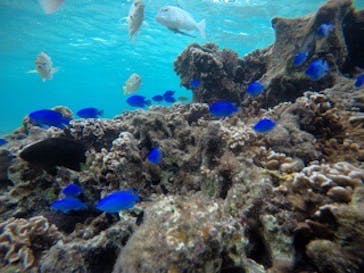 武藤潜水に投稿された画像（2021/1/4）