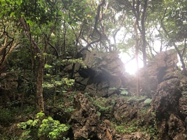 アスムイハイクスに投稿された画像（2021/1/4）