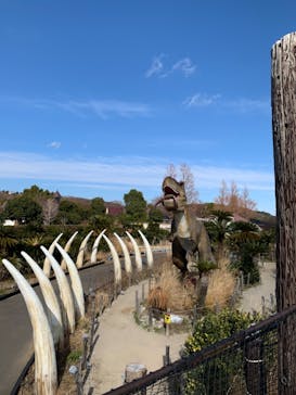 伊豆ぐらんぱる公園に投稿された画像（2021/1/4）